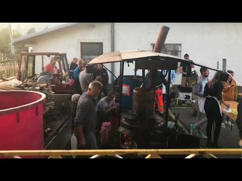 Nova Bila - Čuvari Tradicije 2017