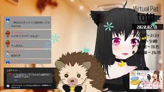 【SHOWROOM】totoฅ•ω•ฅとある猫カフェ＜ミラー配信＞