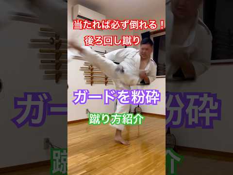 怖い蹴りを手に入れろ！ガードを粉砕する後ろ回し蹴り！！蹴り方紹介！