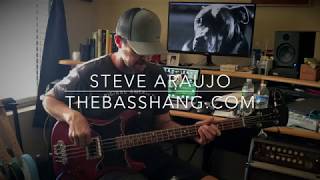 Video thumbnail for Serek Midwestern Short Scale Bass by The Bass Hang