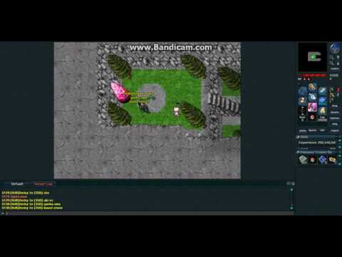 Poketibia youtube-video