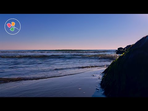 Secret Beach | Pure Nature Sounds for Sleep, Study & Relaxation 🌊