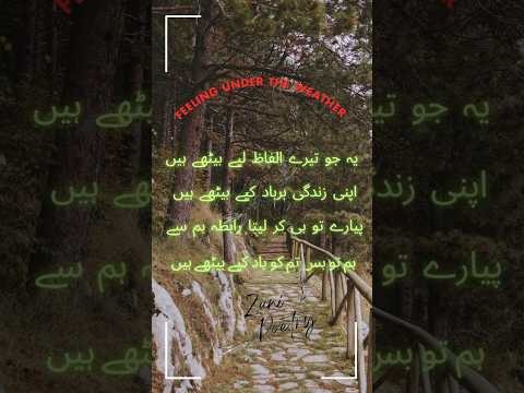 Poetry, |Zuni-Poetry48| #viralshorts #love #bestfriend #sad #sadpoetry #sadstatus