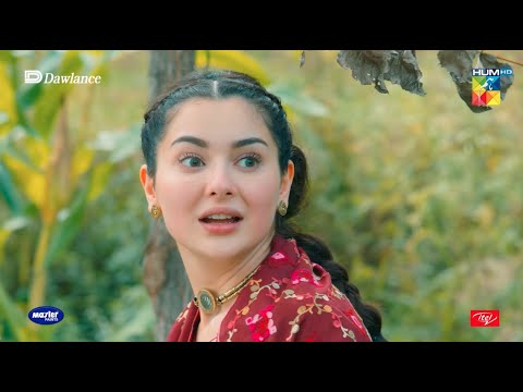 Zarghoona Ka Nishana Aur Gul Meena Ka Bahana  !! - Sang-e-Mah