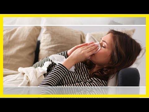 Warum werden wir am Wochenende immer krank?