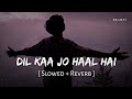 Dil Ka Jo Haal Hai Slowed Reverb Abhijeet Bhattacharya Shreya Ghoshal Besharam SR Lofi