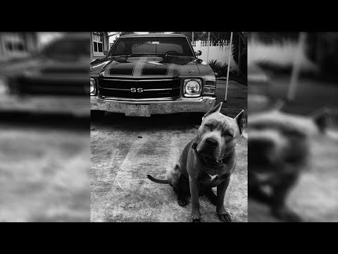 Freestyle Boom Bap Beat | "LA APUESTA" | Underground Boom Bap Instrumental Uso Libre |