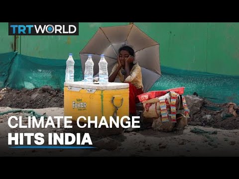 India suffers extreme heatwave, residents struggle to cope