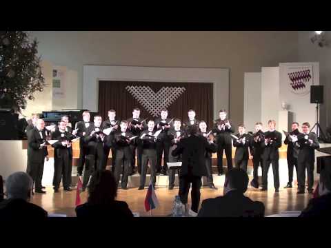 Swedbank koris - Alleluja, Romuald Twardowski