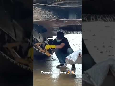 Es ist ein Junge 🤣🤣 #fypシ゚viral #fyp #shorts #viral #memes #funny #trending