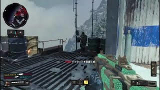 [BO4]凸の生き残り術！part2