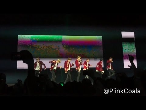 [170319] BTS | The Wings Tour in São Paulo, Brazil - 21st Century Girls