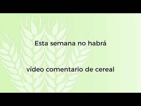 Comentario cereal – 19/04/2022