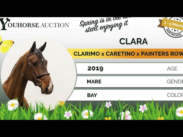 Clara homevideo