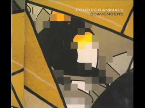 Food For Animals - Cut And Paste