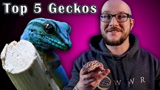 Top 5 BEST Pet Geckos!