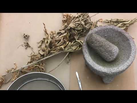 Moxibustion Class Trailer