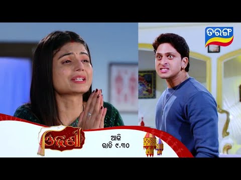 Odhani | 2nd Jan 2025 | Episodic promo - 247 | Tarang tv | new promo 