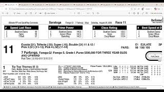 2026 Forego Stakes Full Field Analysis and Picks at Saratoga