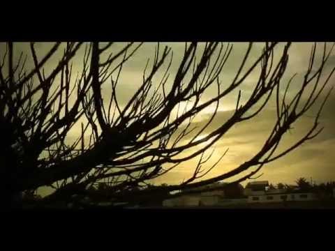 Teaser BoiKOT ShowCase - Praia do Abaís