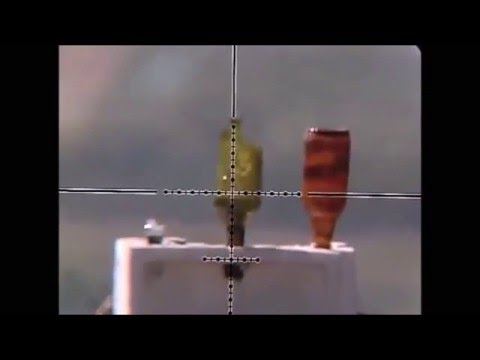 The flight of the bullet