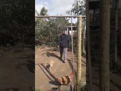 Férias Em Ibicuí  Bahia