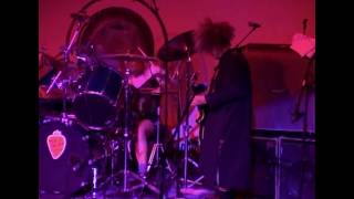 MELVINS - The Bit live @ Henry Fonda 2003 + Interview