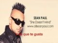 Sean Paul: She doesn't mind en español 