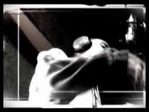 Novi Zakon - Povratak u buducnost