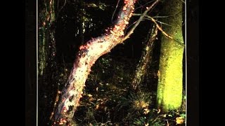 Walter Norris & Aladar Pege - Evening Lights