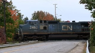 preview picture of video 'BLUE DEVIL! CN 5511 at Parry Sound (01OCT2014)'