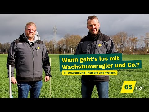 Wann geht‘s los mit Wachstumsregler und Co.? – T1-Anwendung Triticale und Weizen. | GS agri
