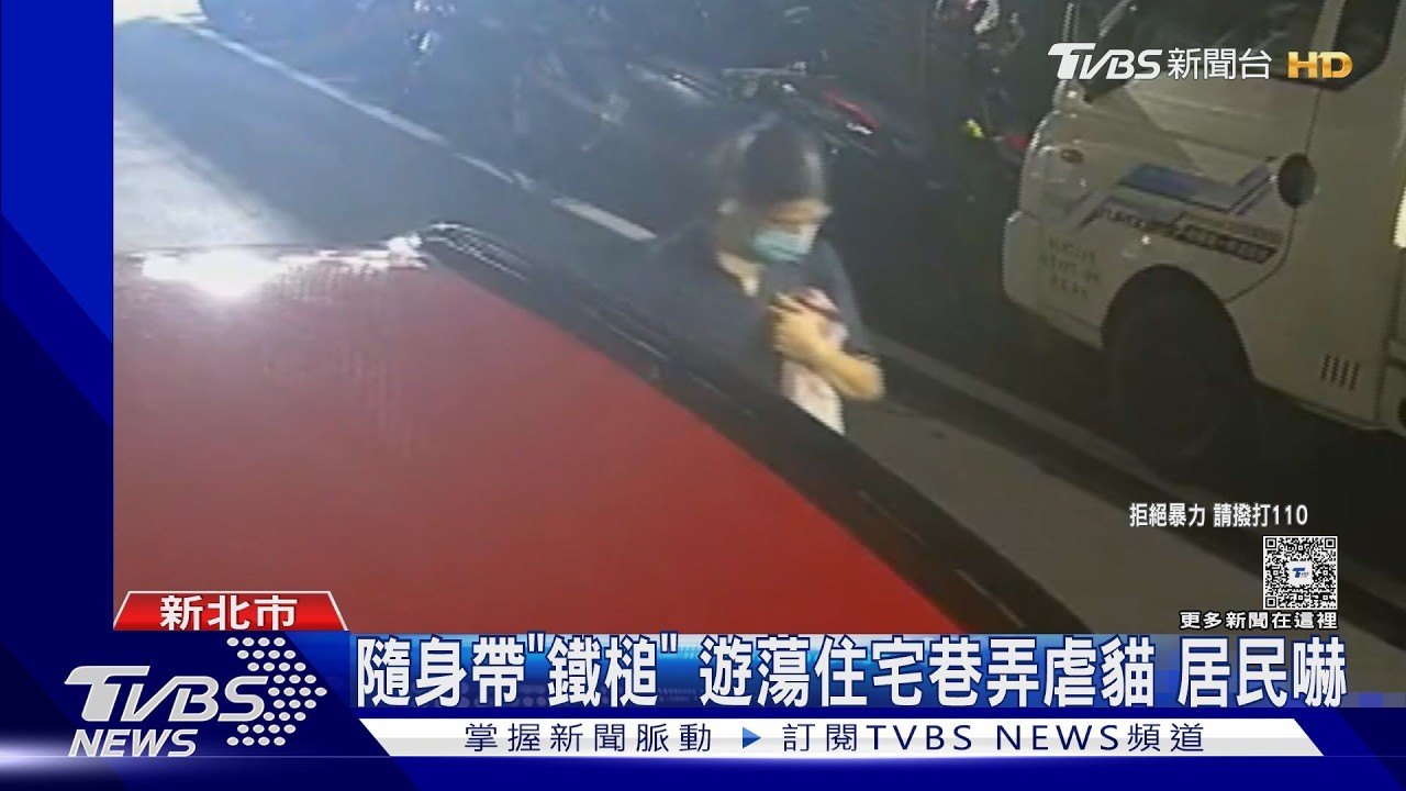 惡劣！三重長髮男「鐵鎚猛敲」橘貓浪浪重傷躲車縫
