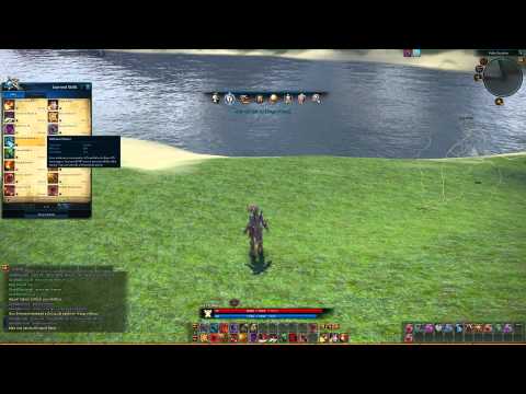 Tera - Warrior Abilities - Up to Level 27