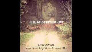 The Misfits Birds - When You&#39;re Old And Lonely [The Magnetic Fields]