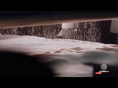 +++PANE, AMORE E FIDELIS, 24^ PUNTATA: OSPITI STEFANO MANZO E CHRISTIAN MARIANO+++