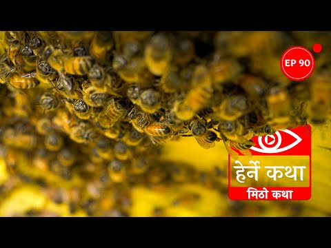 मिठो कथा | Mitho Katha | Herne Katha EP90 |  हेर्ने कथा