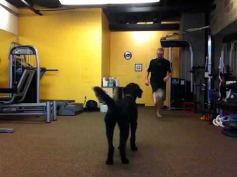 download lagu mp3 mp4 Nomad Fitness Mulund, download lagu Nomad Fitness Mulund gratis, unduh video klip Nomad Fitness Mulund