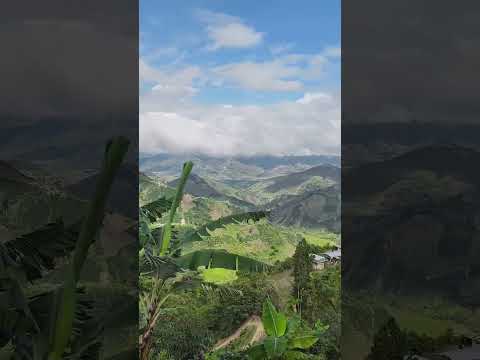 saludos desde Suaza #viralshort