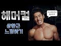 [머슬맥TV] 해머컬 느낌찾기 (with 죠난)