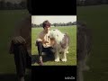 Paul Mccartney "Martha My Dear"