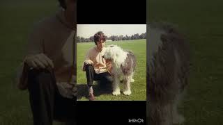 Paul Mccartney &quot;Martha My Dear&quot;