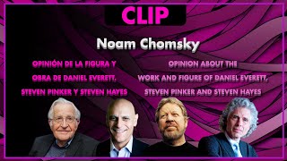 Daniel Everetts contributions are basically nothing  Noam Chomsky