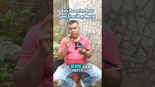 Download lagu Cara Perawatan Kacer yang Stres / Drop Mental #birds #kacer #burungkicau mp3 Download lagu Cara Perawatan Kacer yang Stres / Drop Mental #birds #kacer #burungkicau mp3