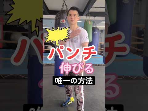 【実は】伸びるパンチ唯一の方法～The only way to extend the punch🥊✨～#boxing #boxingskills #格闘技トレーニング #胸鎖関節 #ボクシング大学