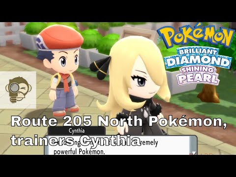Route 205 North Pokémon, trainers and items