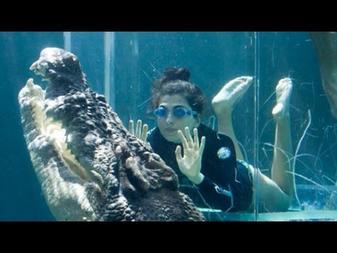 The Cage of Passing at Crocosaurus Cove - Middle of Darwin,Australia