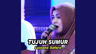 Download lagu Tujuh Sumur mp3