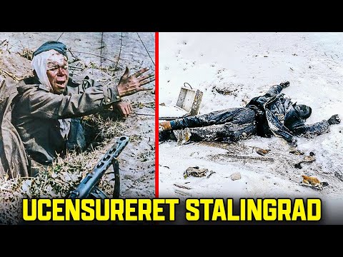 STALINGRAD USCENSUreret | Dagen Da Hitlers Hær Faldt | Dokumentar I Fuld Farve