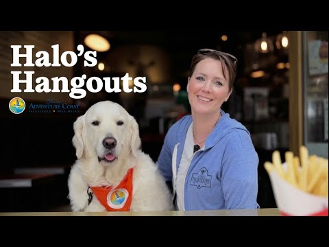 Bree’s Riverside Restaurant video thumbnail